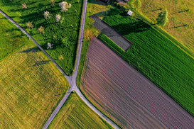 Приватизація землі: скільки соток можна отримати безоплатно у 2026 році