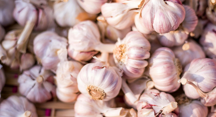 team voyas  / unsplash.com