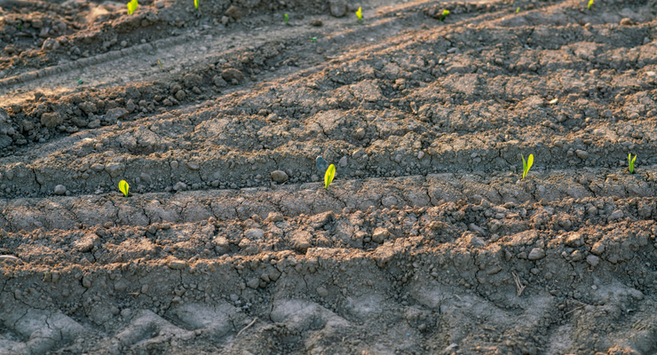 Riccardo Atrot / unsplash.com