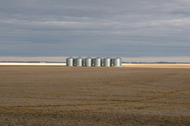 Держгеокадастр відновлює позапланові перевірки: у яких випадках проводяться