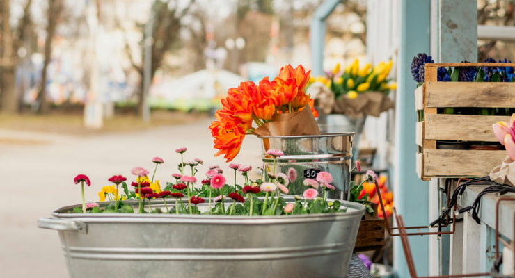 Eugenia Pan'kiv / unsplash.com