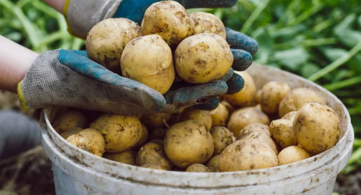 Иллюстративное фото / depositphotos.com