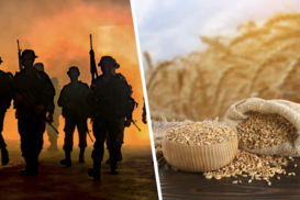 Спрос на украинскую агропродукцию может вырасти из-за войны на Ближнем Востоке