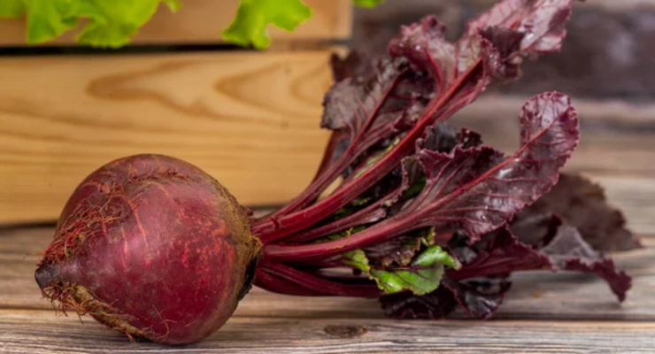 Иллюстративное фото / depositphotos.com