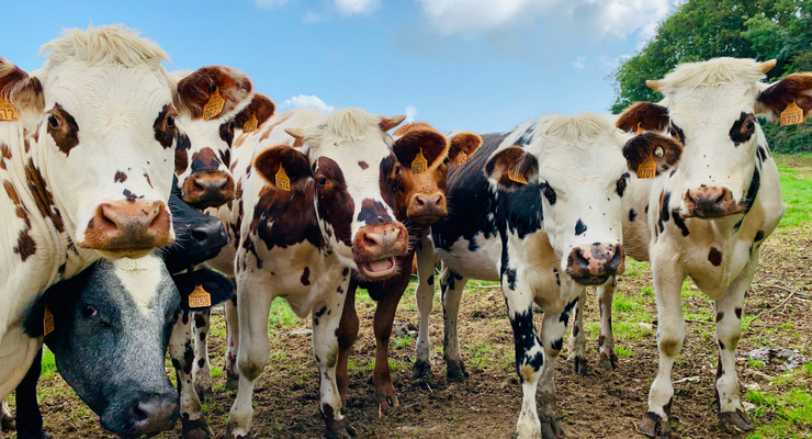 Lomig / unsplash.com