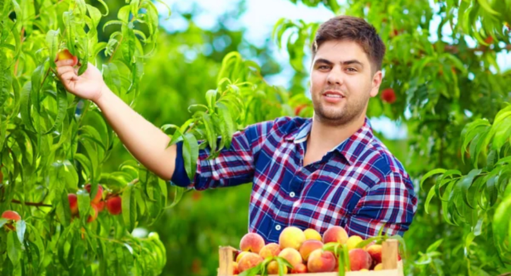 Иллюстративное фото / depositphotos.com