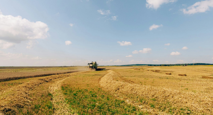 Viktor Smoliak / unsplash.com