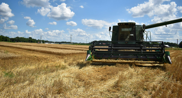 Clare Tallamy / unsplash.com