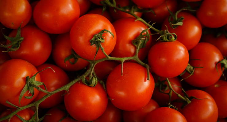 Tom Hermans / unsplash.com