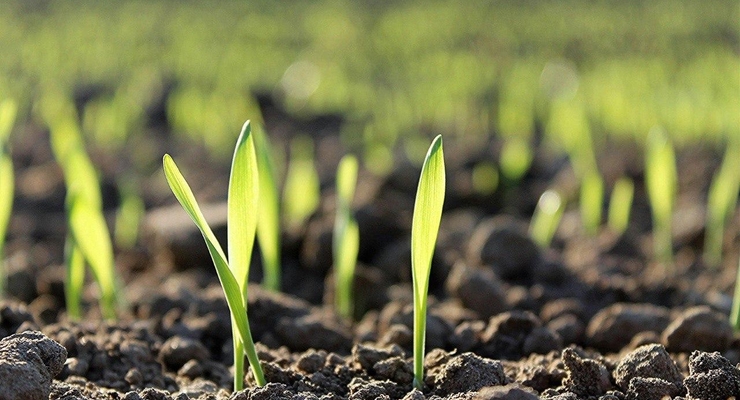 иллюстративное фото / pexels.com