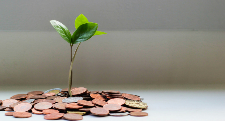 micheile henderson / unsplash.com