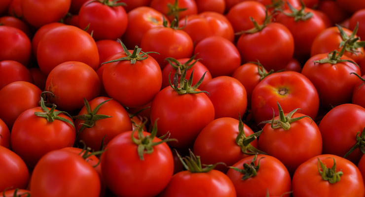 engin akyurt / unsplash.com