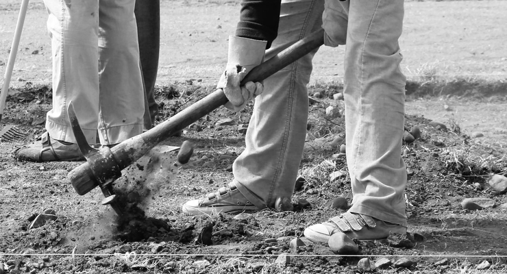 Hennie Stander / unsplash.com