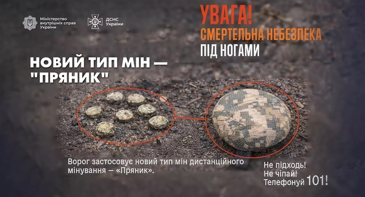 Вибухонебезпечний "пряник". Фото: МВС