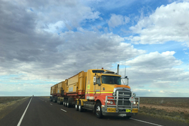 Україна нарощує агроекспорт автотранспортом: що везуть