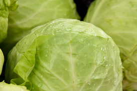 В Украине капуста стала лидером среди овощей по падению цен: сколько стоит кг