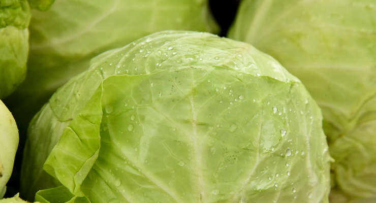 Shelley Pauls / unsplash.com