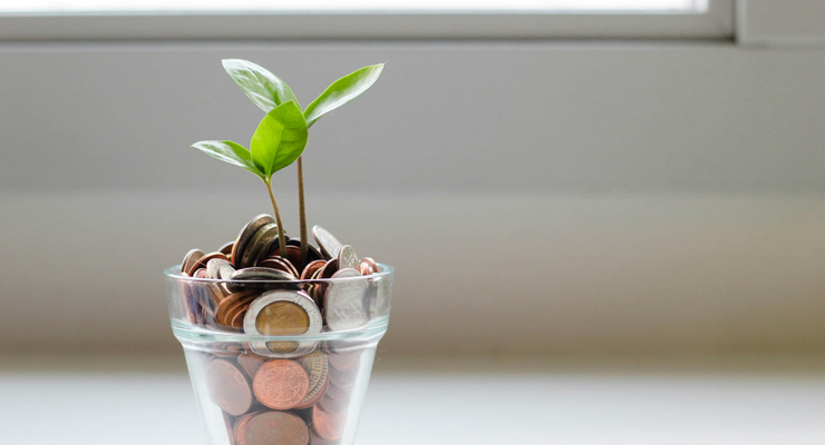 micheile henderson  / unsplash.com