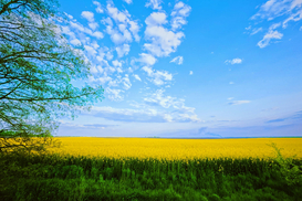 Земли Херсонщины хотят отдать оккупантам: что придумали российские власти