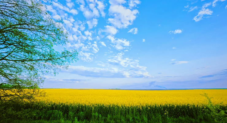 Igor Karimov  / unsplash.com