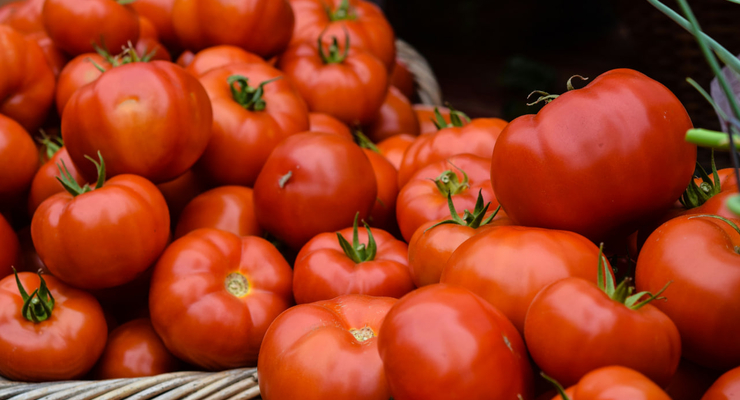 Josephine Baran / unsplash.com