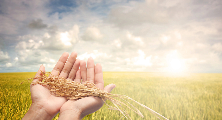 Ілюстративне фото / Мінфін