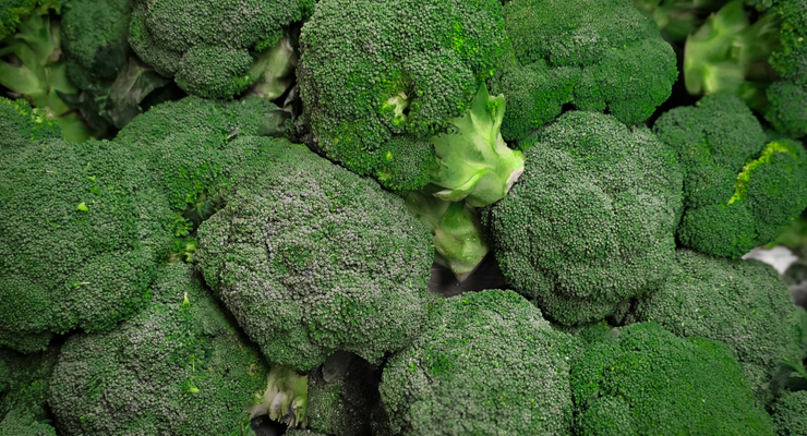 KC Shum / unsplash.com