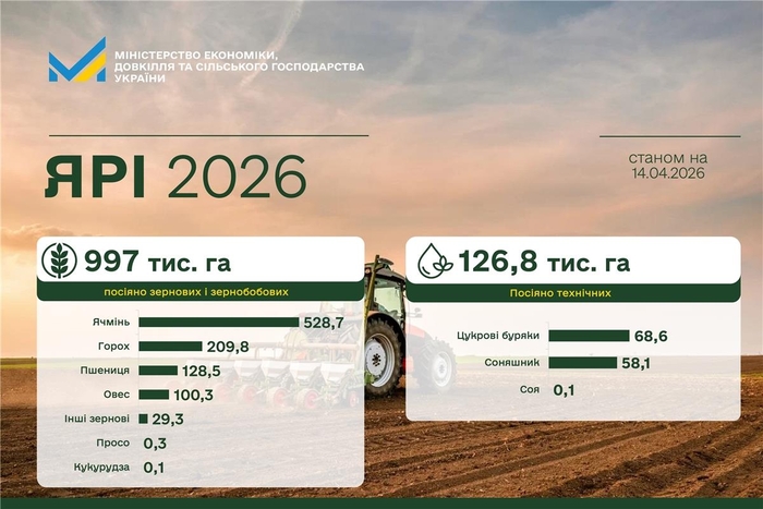 Инфографика