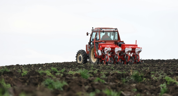 иллюстративное фото / pexels.com