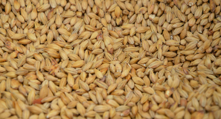 Lutz Wernitz / unsplash.com