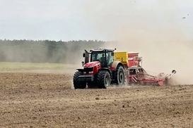 Рекордный экспорт: Украина нарастила поставки масла на Ближний Восток