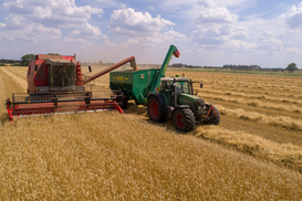 Холдинги в лидерах: агробизнес наращивает прибыль