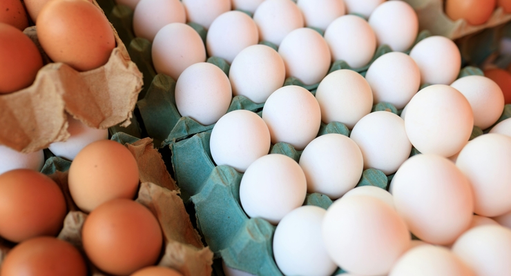 иллюстративное фото / pexels.com