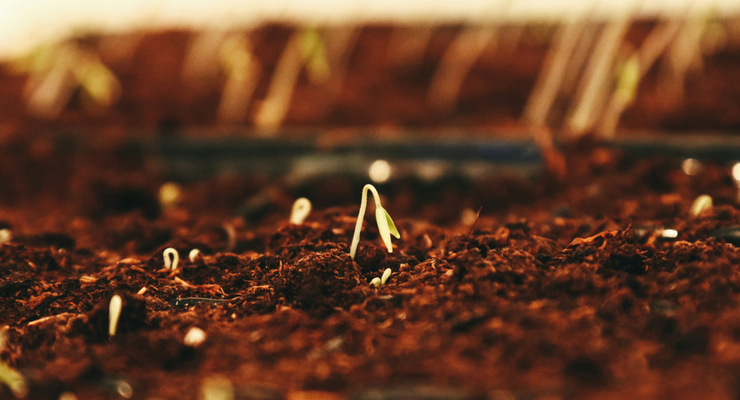 Jametlene Reskp / unsplash.com