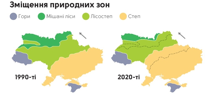 инфографика