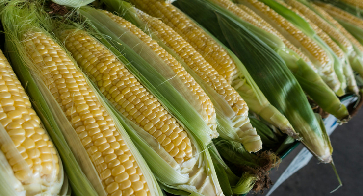 Andre Ouellet / unsplash.com