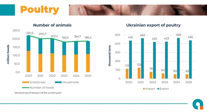 инфографика
