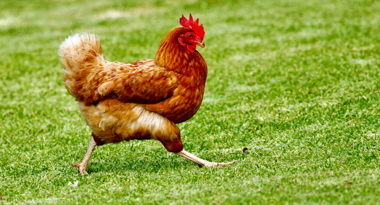 James Wainscoat / unsplash.com