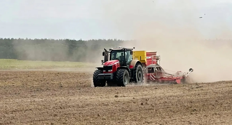 Иллюстративное фото / pexels.com