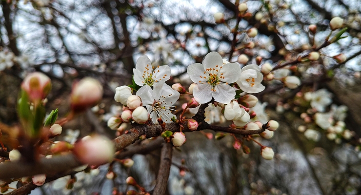 ілюстративне фото / pexels.com