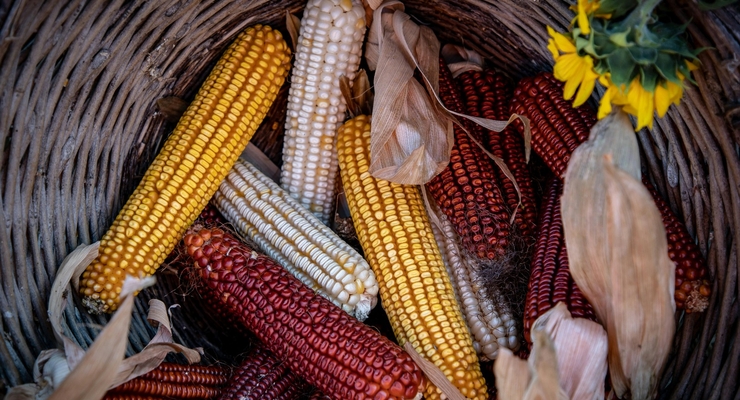 ілюстративне фото / pexels.com