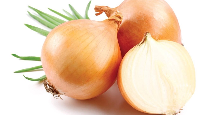 Иллюстративное фото /  HoReCa Express