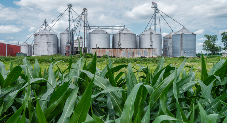 Lumin Osity / unsplash.com