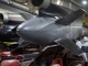 Альтернатива Tomahawk: Германия хочет закупить украинские ракеты Фламинго