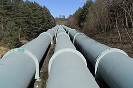 Сі не хоче газу Пу: деталі переговорів у Пекіні