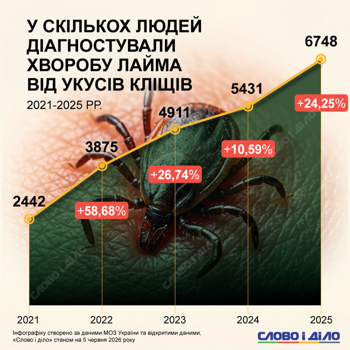 инфографика