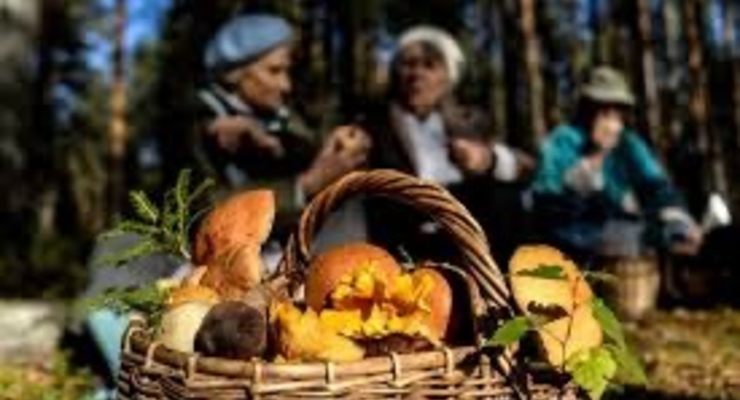 Иллюстративное фото / pexels.com
