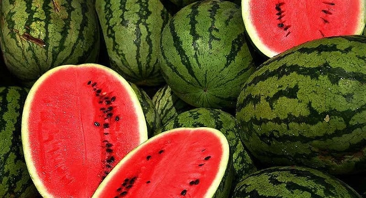 Иллюстративное фото / pexels.com