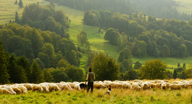 Biegun Wschodni / unsplash.com