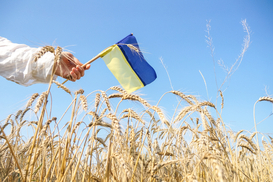 Росіяни спалюють урожай на Херсонщині: дрони атакують поля та фермерів